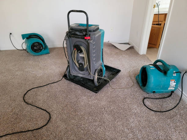 Water damage restoration experts in Pecan Plantation, TX