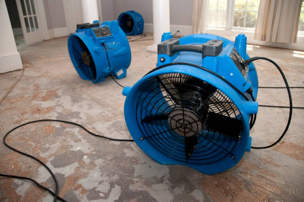 Best Ceiling water damage repair  in Pecan Plantation, TX