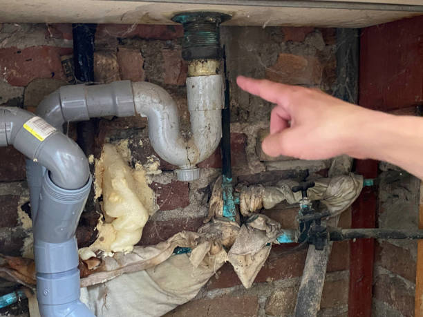 Best Fire Damage Restoration  in Pecan Plantation, TX