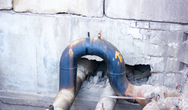 Best Flood restoration services  in Pecan Plantation, TX