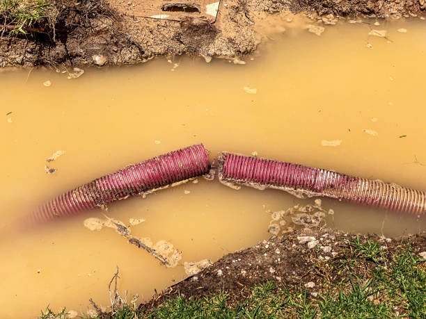 Best Flood damage cleanup  in Pecan Plantation, TX